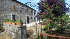 B&B Paternocchio Montefiascone